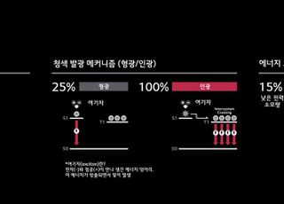 LGD, 청색 인광 OLED 패널 제품화 검증..."세계 최초"