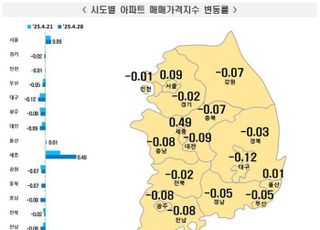 “행정수도 세종으로?” 아파트값 0.49% 껑충…서울도 0.09% 상승