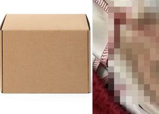 中서 구입한 바지에 혈흔이?…"새 제품인데 가랑이 부분에 빨간색 큰 얼룩"