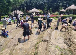 용인특례시, 농촌테마파크 모내기 체험 가족 모집