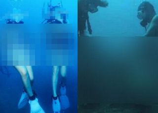 "수중에서 무슨 짓?" 산호초 위 성행위한 '나체 다이버들'…논란되자 '영상 삭제'