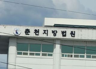 "경찰차에 밟혔다" 주장 보험사기 친 60대…벌금·소송비용 부담