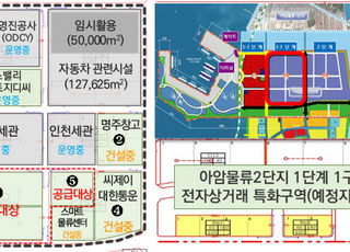 IPA, 인천항 배후단지 불법 전대 업체…고발 조치