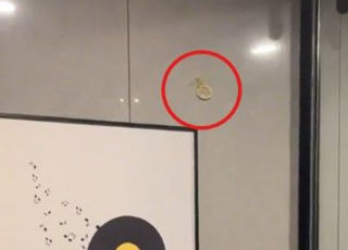 "화장실 벽에 XX이..." 호텔 객실 위생에 '경악'