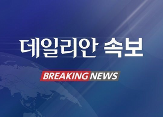 [속보] 민주당, 법사위 소위서 '대통령 당선시 재판정지' 형소법 강행처리