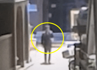 [영상] “갑자기 몸이...” 길 위에서 1시간 넘게 서 있던 70대男