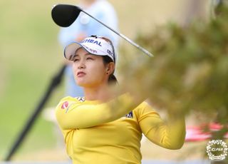 빗장 열린 KLPGA, 해외 무대 도전하는 스타는?