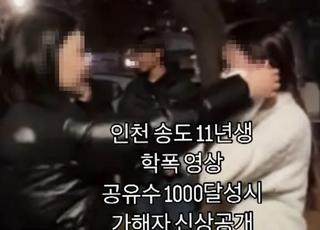“몇 대 맞았는지 숫자 세라” 송도 학폭 가해 여중생 입건