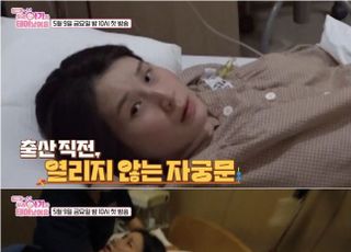 출산·육아부터 이혼·재혼 예능까지…'연예인 일상' 어디까지 봐야 해? [D:방송 뷰]