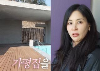 고소영, 가평 별장 도둑 침입 언급…어떤 피해 입었나?