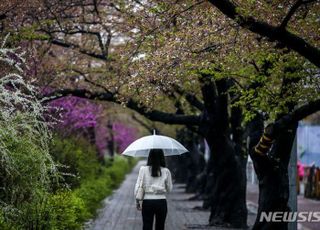 [오늘 날씨] 흐린 일요일, '낮 최고 23도'·일부 소나기…비온 뒤 몸이 으슬으슬하다면?
