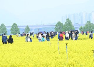 구리시, 2025 구리 유채꽃 축제 성료..노란 물결 속의 감동