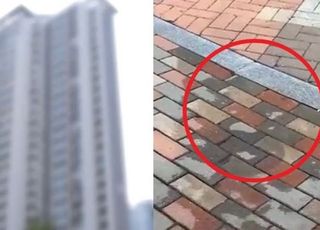 동탄 사실혼女 살해한 남성 유서까지 남겼다…'스마트워치'·분리 조치도 죽음 막지 못해