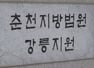 법원, '손자 사망' 급발진 소송서 제조사 손 들어줘…법원 "운전자, 제동페달 오인"