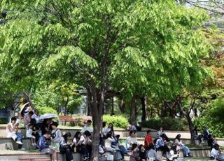 [오늘 날씨] 낮 최고 28도 '초여름더위' 지속...더위 날려줄 여름 한방차