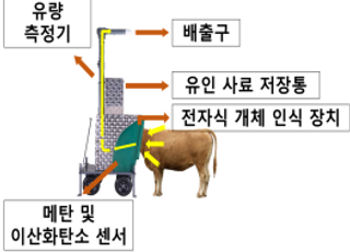 "한우 메탄 18% 줄였다"…농진청, 저메탄 사료소재 '티아민 이인산' 개발
