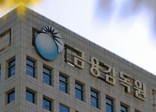 "정치테마주 75%, 고점 대비 30% 이상 폭락"…금감당국 추종매매 강력 경고
