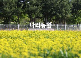 양주시, 봄꽃 향기 가득한 양주 나리농원 24일 개장