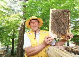 LG가 자연 생태계 살리기 위해 직접 키운 '이것'은?