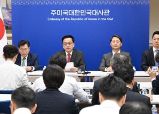 '생후 1개월' 정부가 맞닥뜨릴 미국 관세 협상의 무게 [기자수첩-금융]