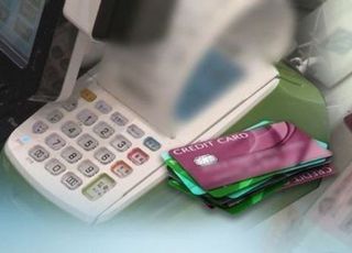 카드사 절반 실질 연체율 2% 돌파…건전성 '빨간불'