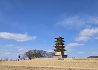 보덕국의 난 – 백제 땅의 고구려 [정명섭의 실패한 쿠데타 역사⑪]