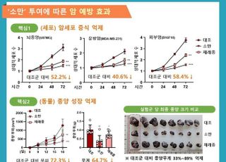 검정콩 ‘소만’ 추출물, 종양 크기 72% 줄고 암세포 최대 58% 억제
