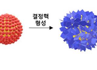 KIST, 전기 없이 인 회수·살균 가능한 ‘성게형 나노소재’ 수처리 기술 개발