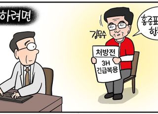 [D-시사만평] 김문수, 대선 반전 꾀할 처방전은? ‘뭉쳐야 산다’…홍·한·한 ‘3H’ 긴급 복용