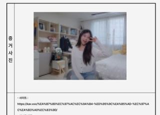 "성착취영상 찾아 6분 만에 삭제"…서울시 'AI 신고 시스템' 개발