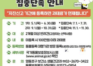 서울 영등포구 "미등록 반려동물 자진 신고하세요"…7월 이후 집중단속