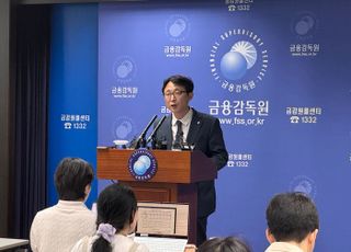 [부동산PF 정리] 금감원 "현장점검 통해 부실 PF사업장 취급부터 사후 관리까지 검사"