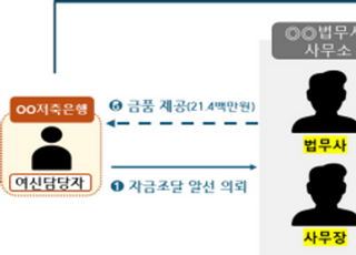 [부동산PF 정리] "대출금 부풀려 빼돌렸다"…부실 틈탄 사익추구 적발