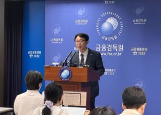 [부동산PF 정리] 금감원 "현장점검 통해 부실 PF사업장 취급부터 사후 관리까지 검사"
