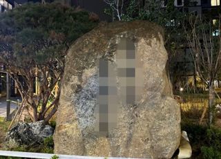난데없는 6000만원 바위 설치…신축아파트서 벌어진 일