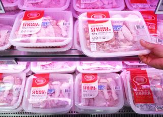 브라질산 AI 미발생 지역산 닭고기 수입 시점 미지수…외식물가 ‘경고등’