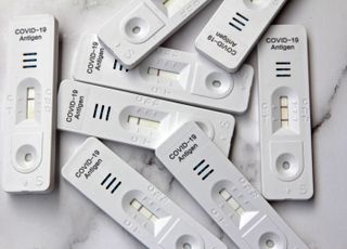 질병청 “국내 코로나 상황 안정적…바이러스 검출률은 다소 상승”