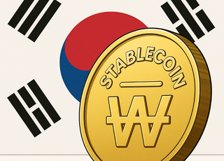 [달러코인 공습④]원화 스테이블코인 도입 가능할까…도입 목소리 높지만 '현실의 벽'