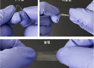 인하대 이근형 교수 연구팀, 고성능 신축형 슈퍼커패시터 개발