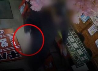 "살해할 의도 없어"…'동탄 흉기 난동' 중국인 구속 송치