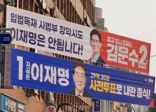 국민의힘 "이재명 장남 '음란문언 전시' 벌금형…李 침묵에 국민들 실망·불신"