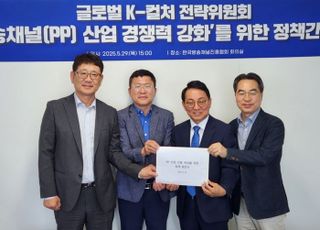 "거버넌스 통합·중소PP 보호"…PP업계, 민주당 캠프에 정책 건의