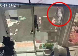 초2 딸 대형견에 팔 물렸는데 견주 "아이가 방방 뛰어서"…누리꾼은 '설왕설래'