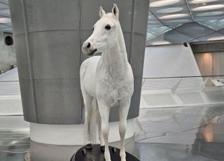 [르포] 말에서 마력으로…벤츠 박물관이 전하는 車의 시간