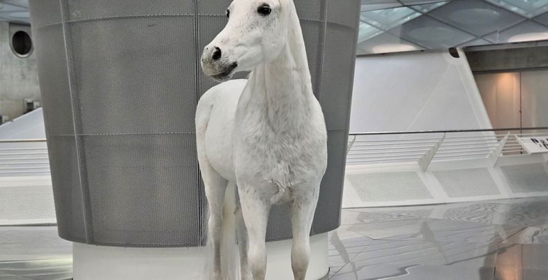 [르포] 말에서 마력으로…벤츠 박물관이 전하는 車의 시간