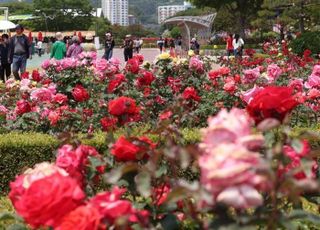 [내일 날씨] ‘대통령 취임일’ 전국 맑고 강원도 일부 지역 한낮에 소나기