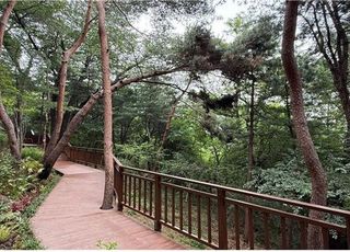 [6월 4일(수) 오늘, 서울시] 남산 남측순환로 보행자 전용데크 설치