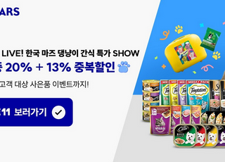 11번가, 라이브 방송 '펫포유' 론칭… 펫팸족 정조준