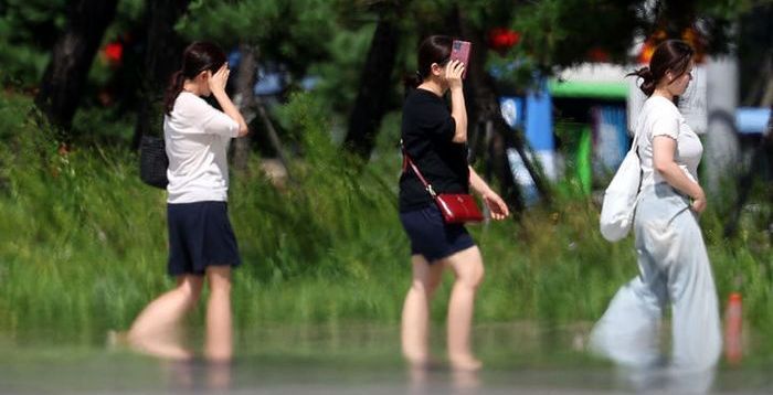 [오늘 날씨] 낮 최고기온 더 올라 '30도'·강한 자외선 주의…절기 '망종' 뜻과 챙겨 먹는 음식은?