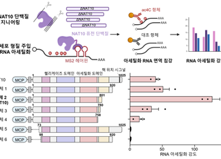 재료연, 한국형 핵융합로용 ‘K-RAFM’ 철강 개발…내방사성·내열성 향상